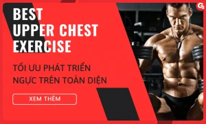 thum-upper-chest